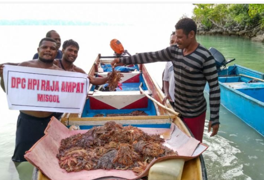 Kabupaten Mimika Belajar Wisata Alam di Raja Ampat